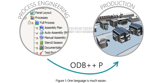 sagi_fig1_1020.jpg